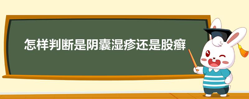 怎樣判斷是陰囊溼疹還是股癬(今日/新聞)2023已更新 - 育兒知識