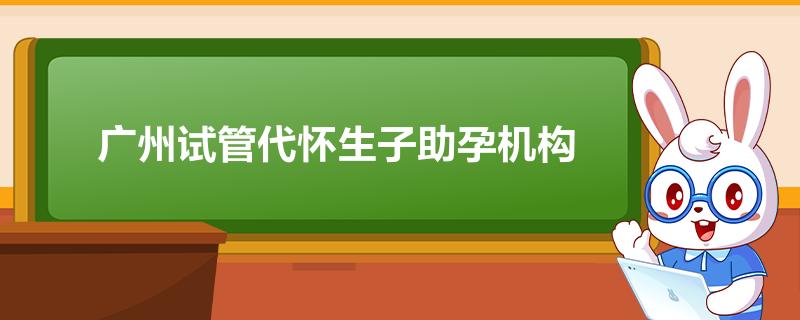 广州试管孕母代孕: 您的生育选择 (广州试管孕母医院排名)