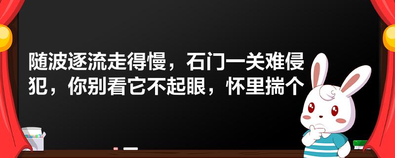 從哨聲響起到最終判罰
